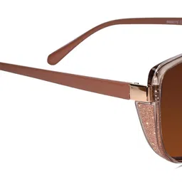 lenskandy Full Rim Cat eye Sunglasses for Women | Polarized & 100% UV Protected Glasses | Branded, Stylish & Trendy | 9055 image 3