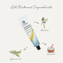 Birdsong Spearmint Sensitive Teeth & Gums Care Botanical Toothpaste - 100 gm image 2