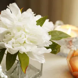 Pure Home + Living White Artificial Peony with Glass Vase Made of Plastic, Wire, Glass) Fake Plants Small, Mini Decorative, Home Office or Gift Wild Artificial Plant with Pot. (15X15X17 CM) Pack of 1 image 3
