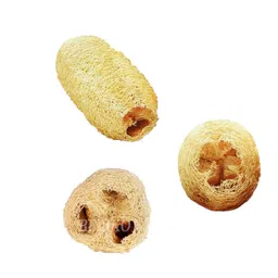 generic Organic Luffa (Ridge Gourd) Sponge Body Scrubber 4 Piece - peerkangai Bath scrub is Body Cleansing Removing Dead Skin Cells and Revitalizing Softer New Skin Loofah Brush (Pack of 4) image 3