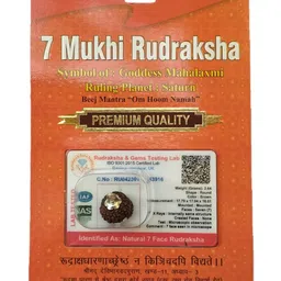 bhakti shringar Rudraksha Brown Certificate Lab Test & X-ray Report with Silver Capping| Rudraksha Pendant for Men & Women image 1