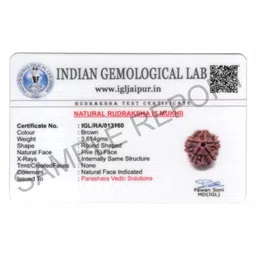 ARKAM Five Mukhi Rudraksha Certified/Original Nepali 5 Mukhi Rudraksh/Natural 5 Faced Rudraksha (Brown) with Certificate and Puja Instructions image 2