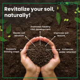 Cinagro Neem Cake Powder (1 Kg) 100% Organic, Biodegradable Soil Enhancer for Healthy Plants, Rich in Nitrogen, Phosphorus & Potassium, Natural Pest Repellent, Improves Soil Texture & Boosts Growth image 5