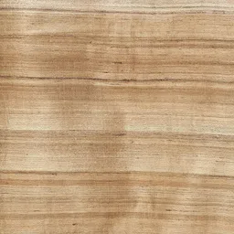 moeza Women's Pure Tussur Ghichcha Silk Beige Dupatta, Pack of 1, MFD0190 image 4