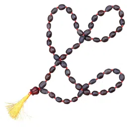 NRSON® Kamal gatta Knotted Japa Mala 54+1 Beads with Red Sandalwood Lotus Flower Lotus Seeds Kamal Gatta Mala for Japa, Laxmi Pooja and Wearing image 1