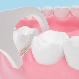 Carrot - 3 in 1 Tooth Cleaning Fresh Dental Floss,Oral Care Teeth Flossing Thread Toothpicks Stick Set for Fresh, Healthy and Breath Gums (PACK OF 50) image 4