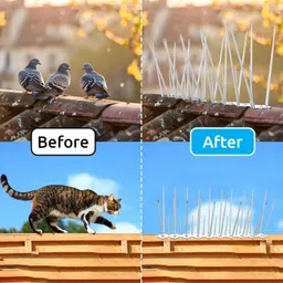 EWAR Bird and Pigeon Spikes, Pigeon Control Spikes| Anti Bird Plastic Spikes for AC Balcony Railing Window Home Protection from Pigeon Dog Monkey Crow Kabootar Transparent (Spikes, 50, Pack) image 3