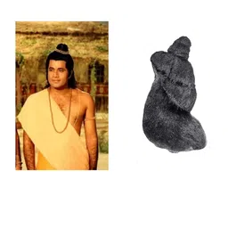 generic Chuz N Pick Ramleela Stage show Idol Character hair wig for teenager and kids free size wig, best for ramleela and Stage drama show (1 Wig) image 1