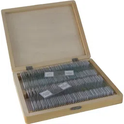 AI-Wooden Slide Box for 100 Slides/for Microscope Slide/Biology Lab Equipment/Used in Laboratory/Microscope Slide Box with Index Holder/Slide Box Wooden/Used for Pathology lab image 5