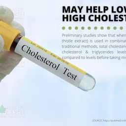 Bliss of Earth 500gm Milk Thistle Seeds Organic Super Food Great for Guts Health & Boost Immunity (Pack of 1) image 3