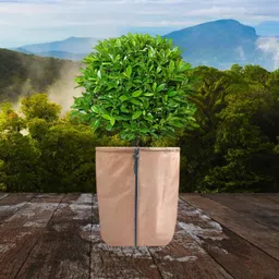 secret desire SECRET DESIREFlower Winter Pot Protection Bag Trees Flowers Garden Plant Insulation Cover 45 cmx50 cm image 1