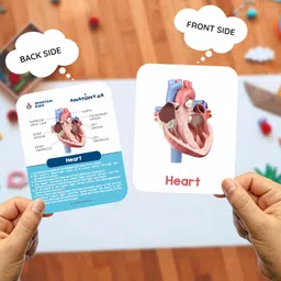 spartan kids SPARTAN KIDS® Human Organs Flash Cards | Early Learning 4D Technology Flash Cards for Kids | 27 Augmented Reality Cards for Kids 3+ Years image 4