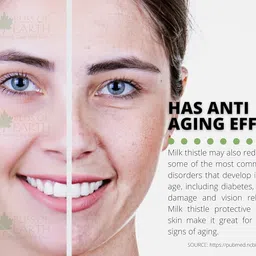 Bliss of Earth 500gm Milk Thistle Seeds Organic Super Food Great for Guts Health & Boost Immunity (Pack of 1) image 4