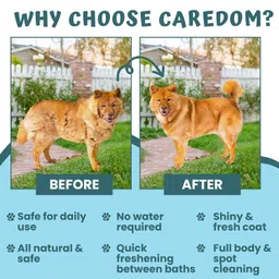 Caredom Dry Pet Dog Shampoo & Cat Dry Shampoo for Water Free Bath | Dry Shampoo Spray with Aloe Vera Dog&Cat Shampoo for Soothing,Cleansing & Prevents Pet Shampoo (200 Milliliter) image 5