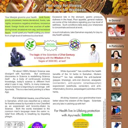 SAMAHAN INSTANT AYURVEDIC CARE-EXTRACT OF 14 HERBS (50 Sachets) image 3