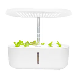 MYADDICTION Hydroponics Growing System Garden Planter for Harvest Vegetable Lettuce Home White image 1
