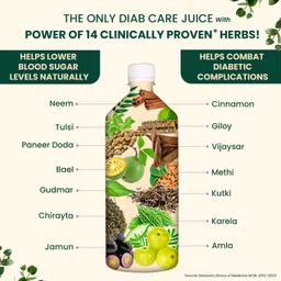 Vansaar 45+ Diab Balance Juice, 1L | Ayurvedic Diabetic Care Juice for 45+ Adults | Karela, Jamun, Neem, Paneer Doda, Cinnamon, & 9 more natural herbs | Manages Blood Sugar & Insulin Level image 5