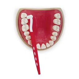 medicept dental Medicept PROTEC Angled Interdental Brush NARROW Space (PINK)- Pack of 3 image 4