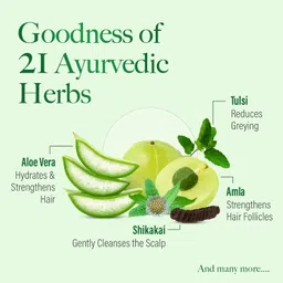 Kesh King Anti Hairfall Conditioner | Aloe Vera & 21 Herbs| No Paraben & No Silicon | 200 ml, 1 Count image 3