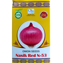 generic Nasik Red N-53 Onion Seeds, CPM Seed Company Export Quality (500 GM) image 1