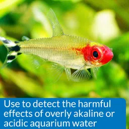 Aquarium Pharmaceuticals, Api, Mars Fishcare Api High Range Ph Test Kit for Aquariums image 5