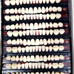 generic Dental Acrylic Teeth Kit Sets Shade Of Teeth 24 image 3