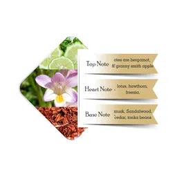 Police Passion Femme Deodorant Spray 200ml (Pack of 2) image 3