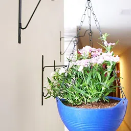 Kalfo Metal Chain for Hanging Pots and Hanging Baskets (Size – 15 Inches, Set of 5 Chains) image 5