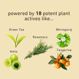 anthi: 3% Redensyl ,4% Anagain, 2% Melanogrey, 1% Darkenyl, Advanced Hair Serum Helps Hair Thickening, Helps Stimulate Hair Growth, Helpful for Grey Hair| With Rosemary, Bhringaraj, Amla, Biotin, 30 ml image 5