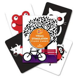 The Curious Bees - Visual Stimulation New Born Anti-Glare Cards | 24 Objects for Visual Colour Stimulation, Cognitive & Sensory Development of 6-12 Month Old Kids image 1