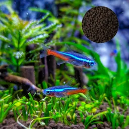 Auqa Soil 500gm for Plants | Auqarium Substrate | for Fish Tank and Water Plants Soil Substrate (500GM) image 2