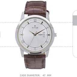 titan Karishma Analog Silver Dial Men's Watch NM1774SL01/NN1774SL01/NP1774SL01 image 4