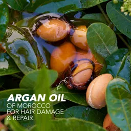 Herbal Essences bio:renew Argan Oil of Morocco CONDITIONER, 400ml | No Parabens No Colourants image 2
