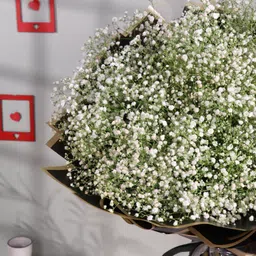 FlowerAura Fresh Live Premium Flower Bouquet of White Gypso Bunch Flowers For Birthday & Anniversary Gift, Wedding Gift, Mother's Day Gift, Love & Romance Gift, Father's Day Gift (Same Day Delivery) image 5