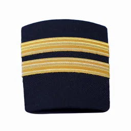 the pilot Pilot Epaulets - 2 Stripe (Gold) image 2