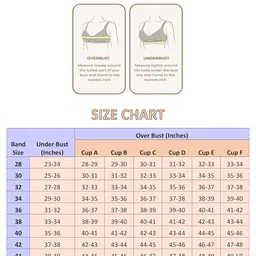 plumbury Women's Padded Cotton Adjustable Regular Fit Camisole With Built-In Shelf Bra (Pack Of 2) image 4