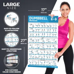 grand basics [12-PACK] Laminated Large Workout Poster Set - Perfect Workout Posters for Home Gym - Exercise Charts Incl. Dumbbell, Yoga Poses, Resistance Band, Kettlebell, Stretching & More Fitness Gym Posters image 4