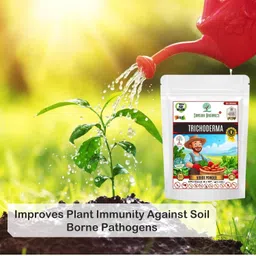 sansar organics Sansar Organics® Trichoderma Fungicide - Viride Powder for Plants (2 x 10^8 CFU per Gram) Bio Fungicide - Prevents Fungal and Bacterial Diseases in Plants. (450 gm) image 3
