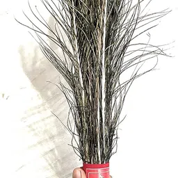 Achleshwar Bunch of 10 Real Peacock Feathers/Moor Pankha Broom/Jhadu for Mandir Cleaning/Suitable for Nazar Suraksha image 4