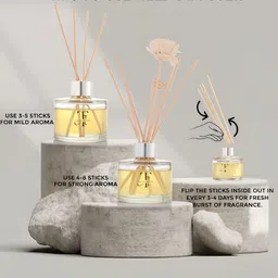 THE ACADOUR 2-Pcs Fresh Aquaric & Floral Notes Aroma Oil Diffusers image 4