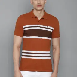 Louis Philippe Sport Brown Cotton Slim Fit Striped Polo T-Shirt-picture-13