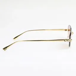 Ted Smith Brown UV Protection Rectangular Unisex Sunglasses image 4