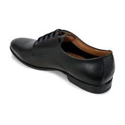 Allen cooper Men's Black Derby Shoes image 5