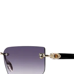 Woggles Unisex Purple Lens & Gold-Toned Rectangle Sunglasses with image 4