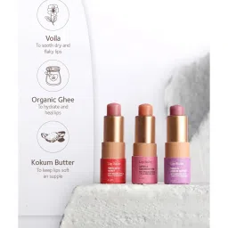 SoulTree Hibiscus & Honey with Organic Ghee & Cold Pressed Oils Ayurvedic Lip Balm - 3.5 gm image 4