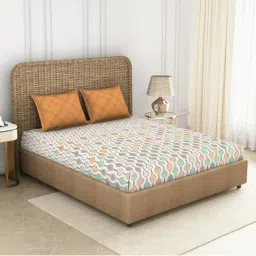 Spaces Orange 144 TC Cotton Printed Double Bed Sheet with 2 Pillow Covers image 1