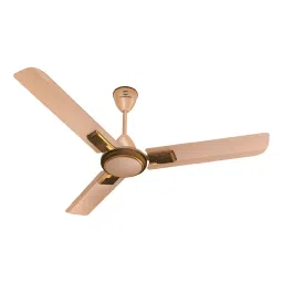 Standard by Havells Frorer ES Decor Champagne Pearl Brown 900 mm Ceiling Fan-picture-10