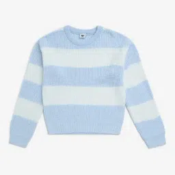 Y&F Kids by Westside Blue Striped Knit-Textured Sweater-picture-38