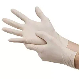 Max Plus Surgical Hand Gloves Disposable Rubber Latex White Free Size (Pack of 70 Pcs) image 2