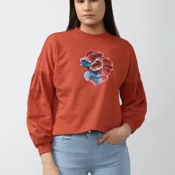 Van Heusen Dark Brown Pullover image 1